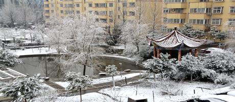 廠區(qū)雪景1