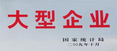 大型企業(yè)